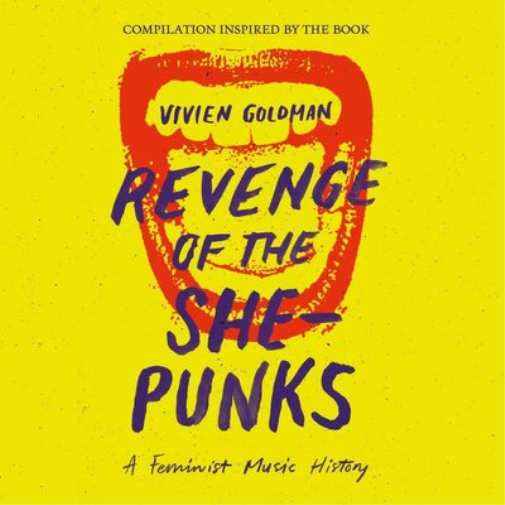 Various Artists Revenge of the She-punks: A Feminist Music History (Vinyl LP)