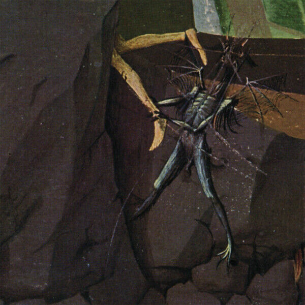 Danava Hemisphere of Shadows (Vinyl LP) 12" Album