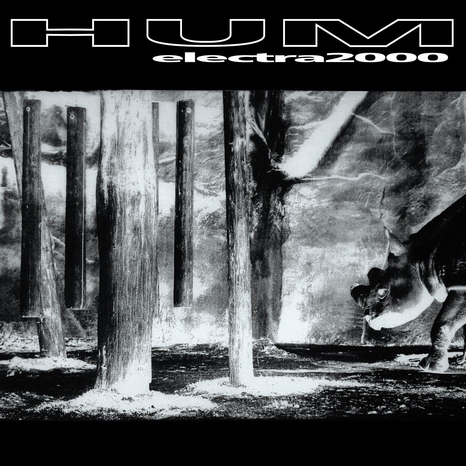 Hum Electra2000 (Vinyl LP) 12" Album