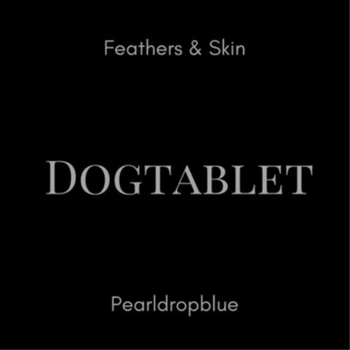 Dogtablet Feathers & Skin/Pearldropblue (CD) Album