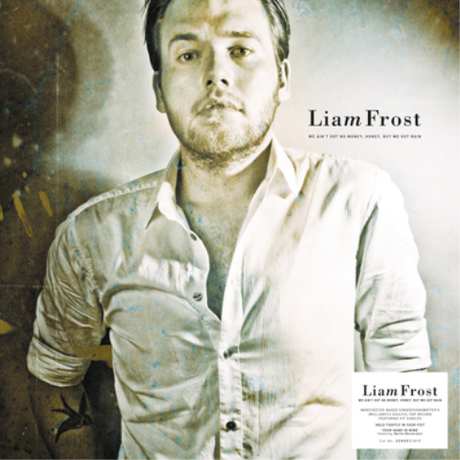 Liam Frost We Ain't Got No Money, Honey, But We Got Rain (Vinyl LP) 12" Album