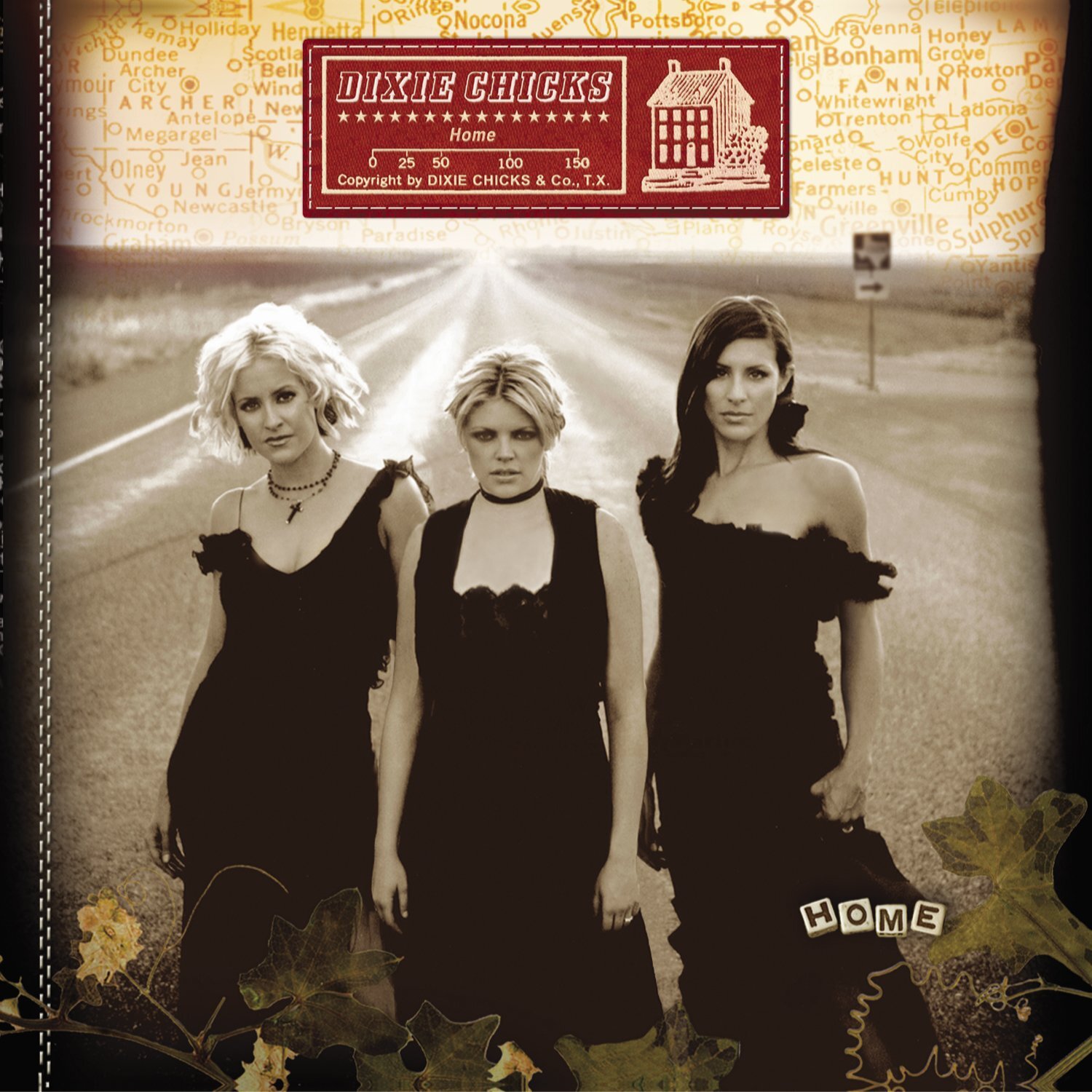 Dixie Chicks Home (CD)