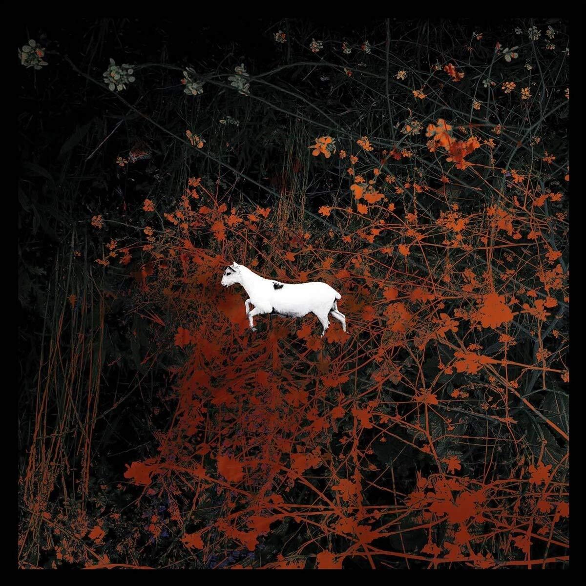 LES DISCRETS Predateurs (Vinyl LP)