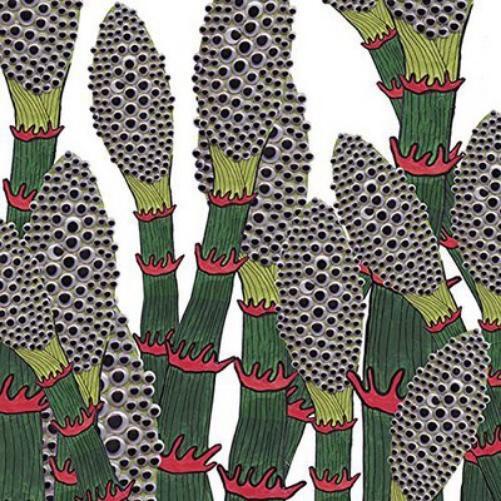 Part Chimp IV (CD) Album Digipak