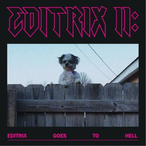 Editrix Editrix II: Editrix Goes to Hell (Vinyl LP) 12" Album