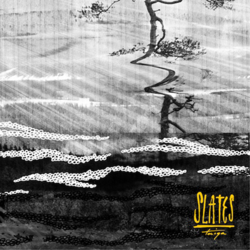 Slates Taiga (CD) Album