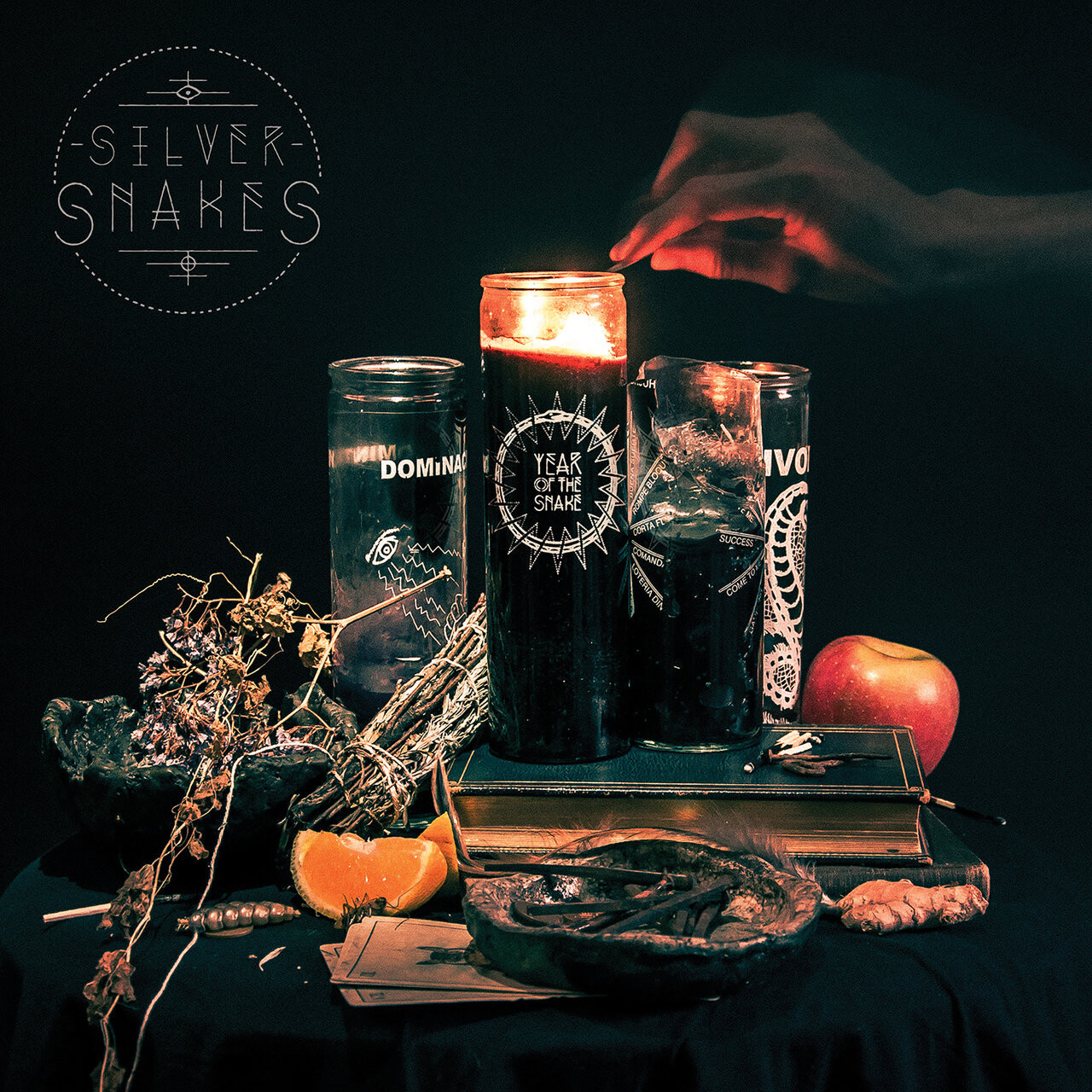 Silver Snakes Year of the Snake (Vinyl LP) 12" Album