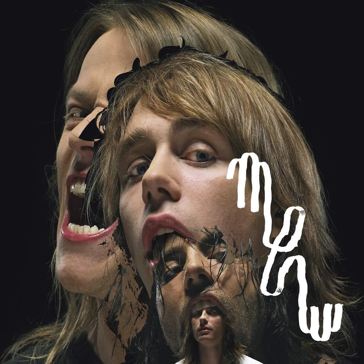 Mew Mew And The Glasshanded Kites (CD)