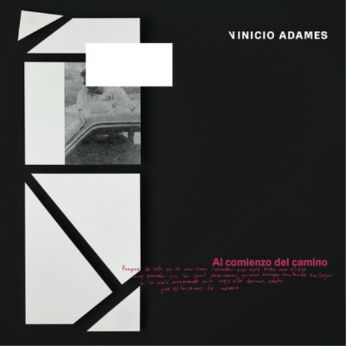 Vinicio Adames El Comienzo Del Camino (Vinyl LP) 12" Album