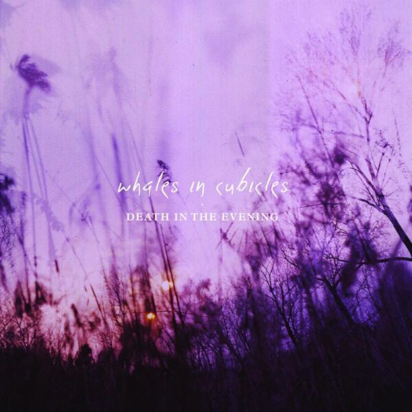 Whales in Cubicles Death in the Evening (CD) Album