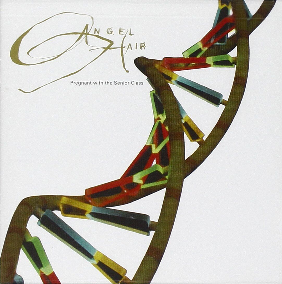 Angel Hair Pregnant With the Senior Class (CD)