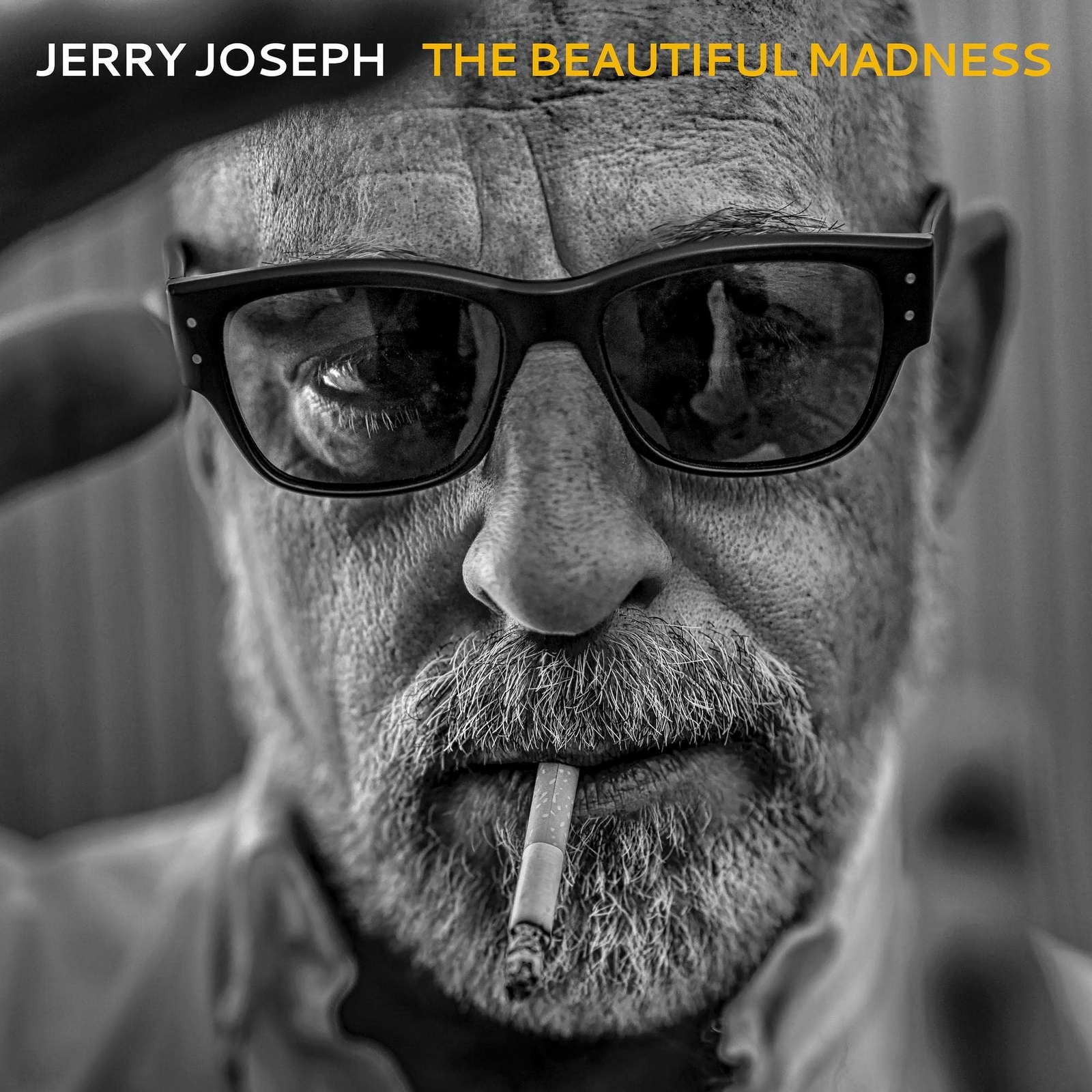Jerry Joseph The Beautiful Madness  Explicit Lyrics (Vinyl LP)