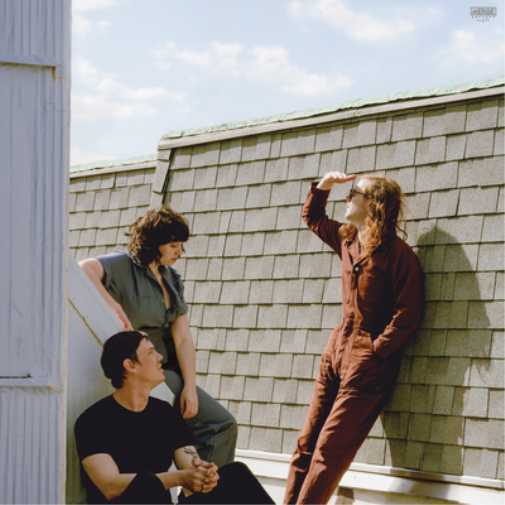 Swearin' Fall Into the Sun (Vinyl LP) 12" Album