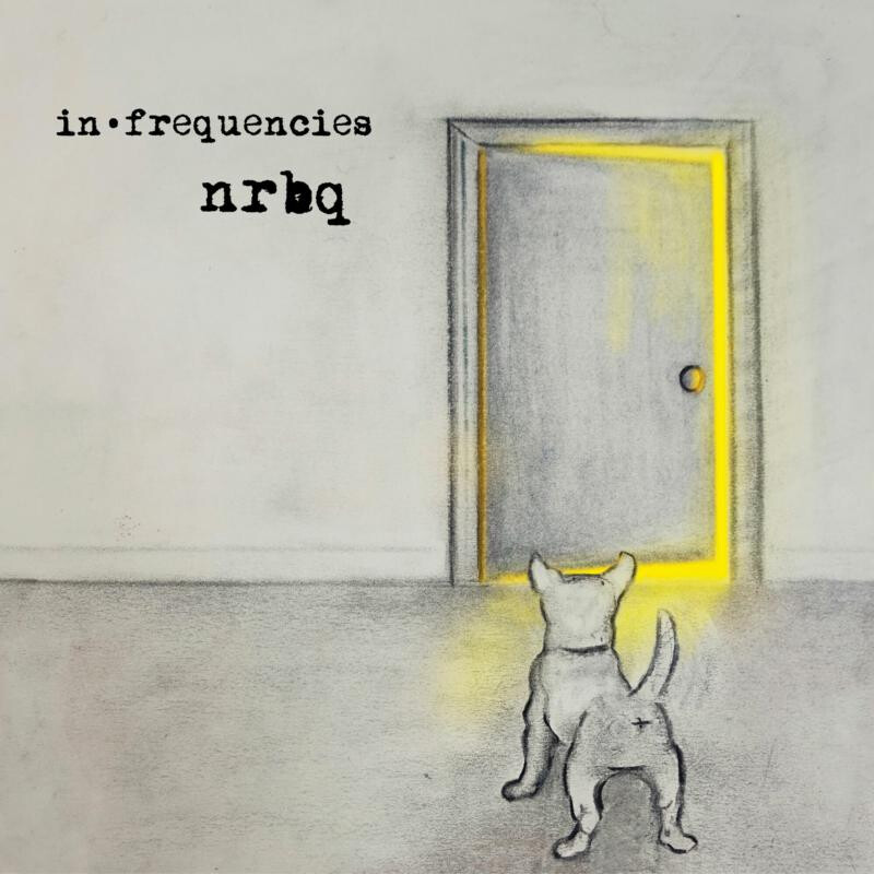 NRBQ In.Frequencies (Vinyl LP) 12" Album