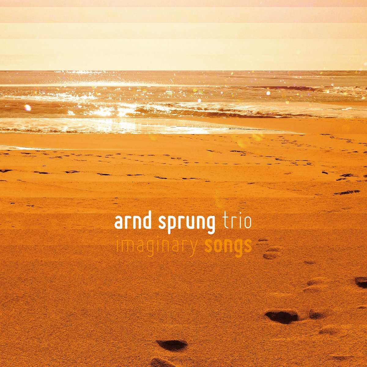 Sprung,Arnd Trio Imaginary Songs (CD)