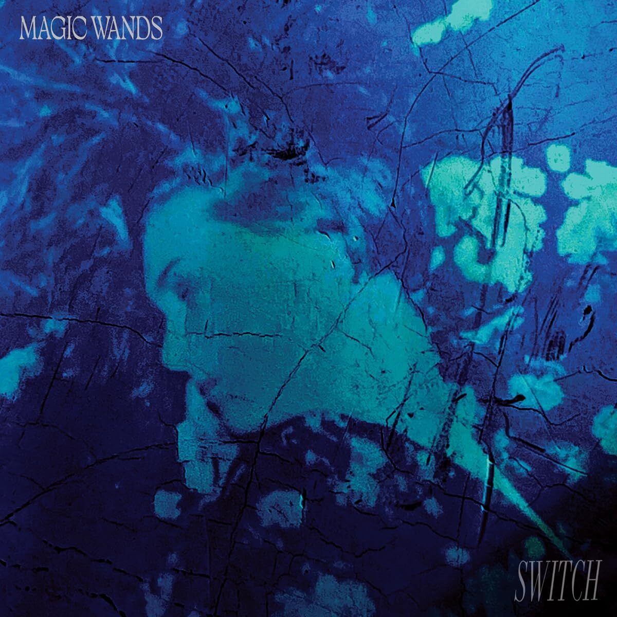 Magic Wands Switch (Vinyl LP)