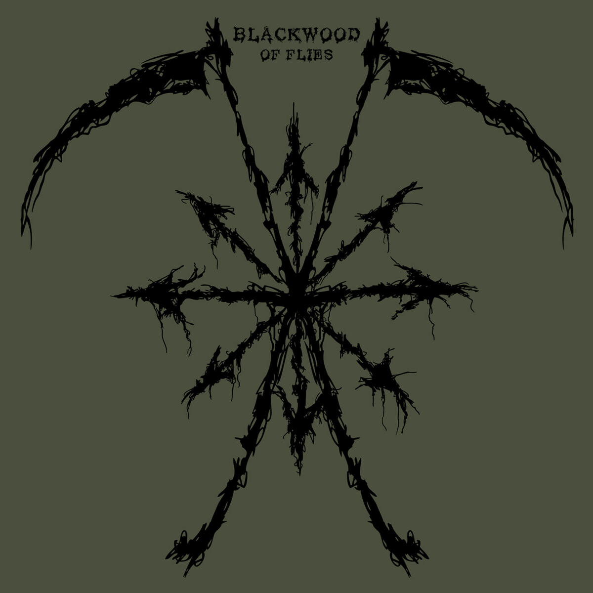 Blackwood Of Flies (Vinyl LP) 12" Album