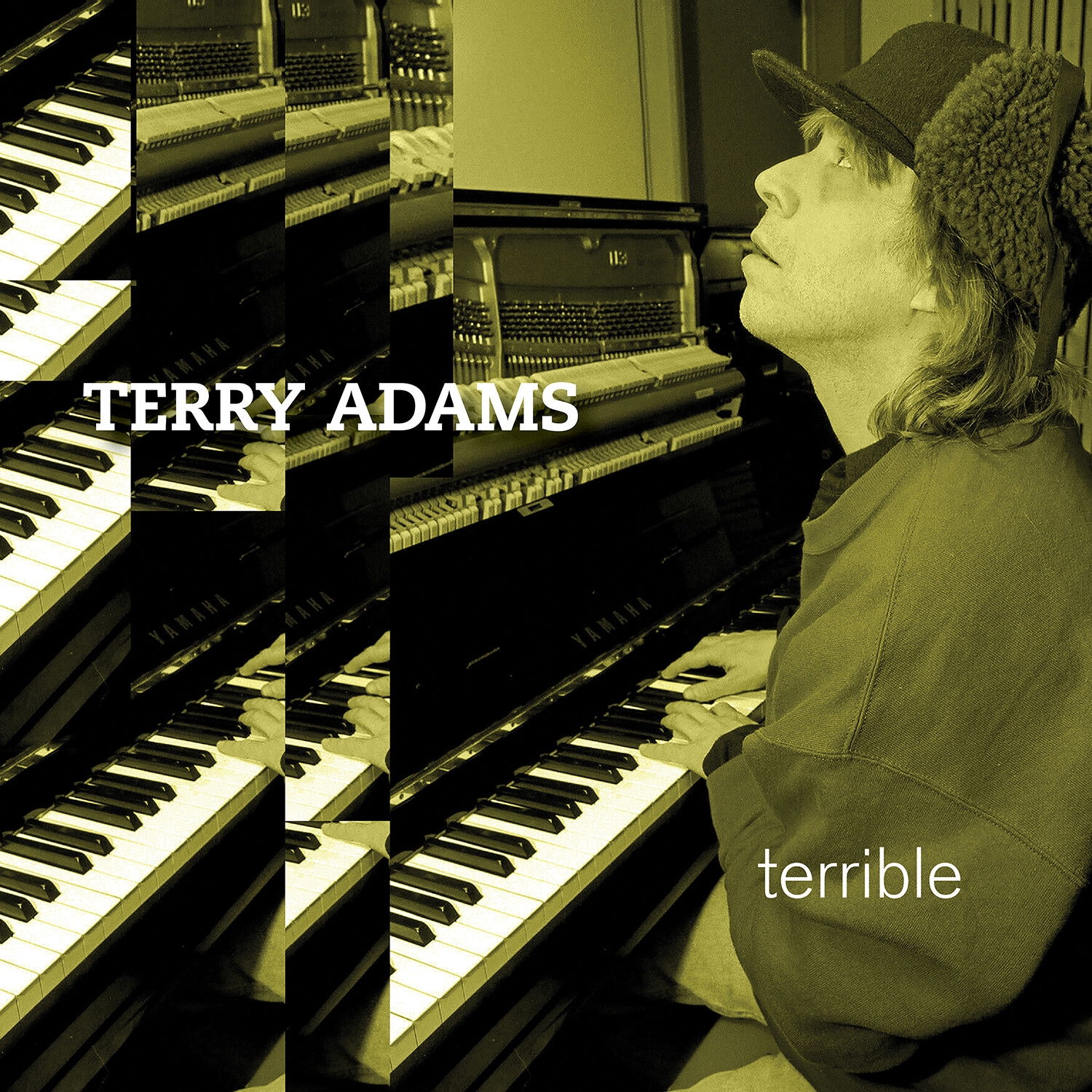 Terry Adams Terrible (CD) Bonus Tracks  Album