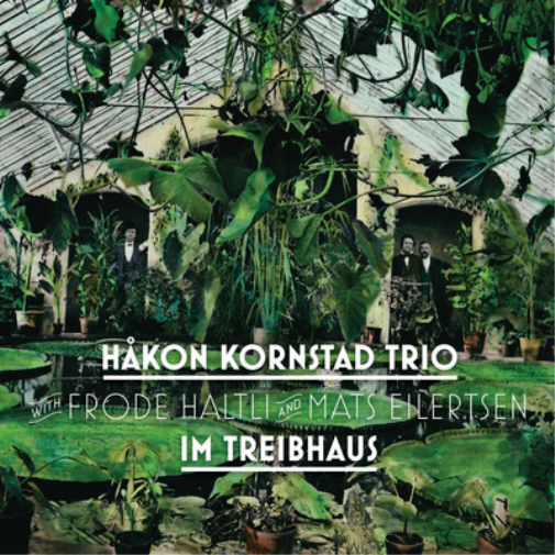 Håkon Kornstad Trio Im Treibhaus (CD) Album