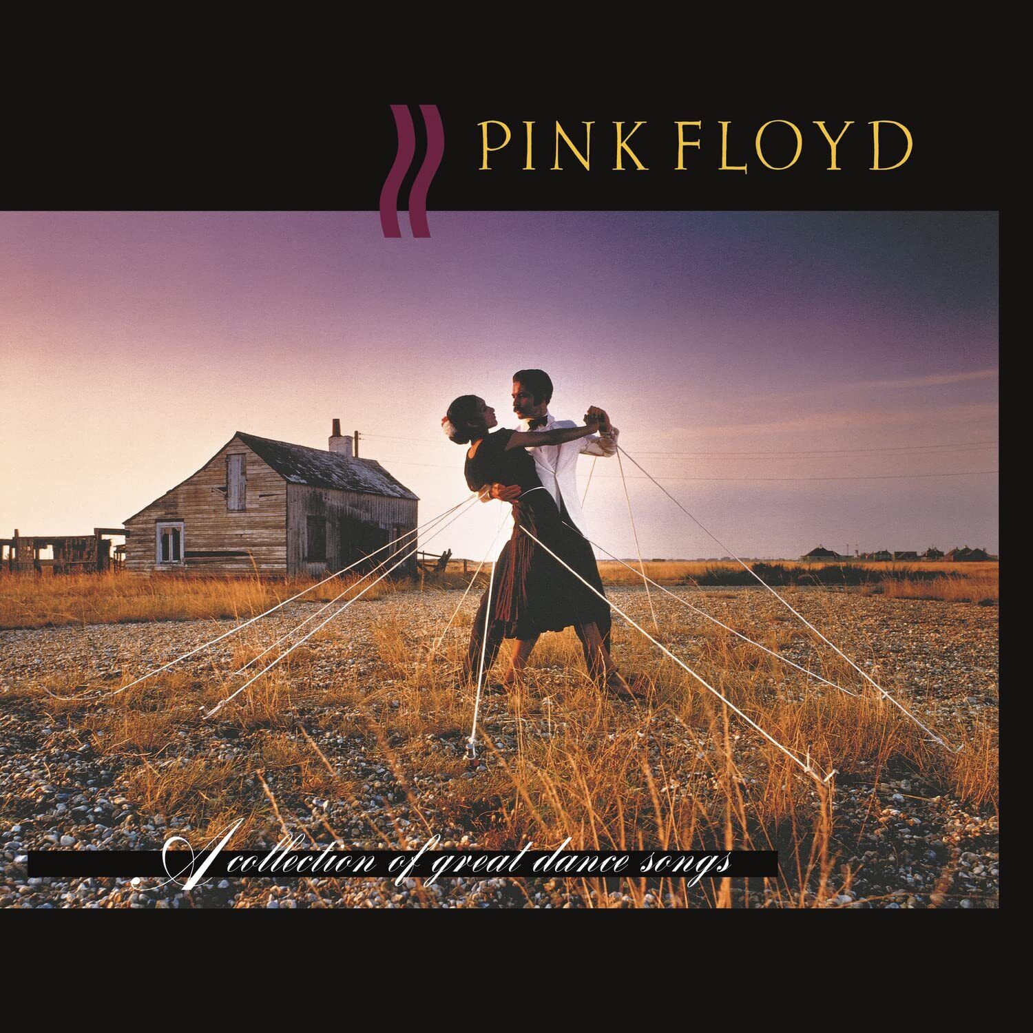 Pink Floyd A Collection of Great Dance Songs (Vinyl LP)