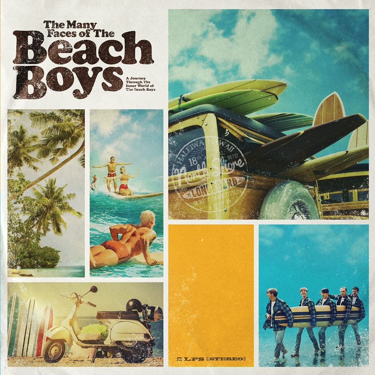 Beach Boys / Various Many Faces Of The Beach Boys / Various (Vinyl LP)