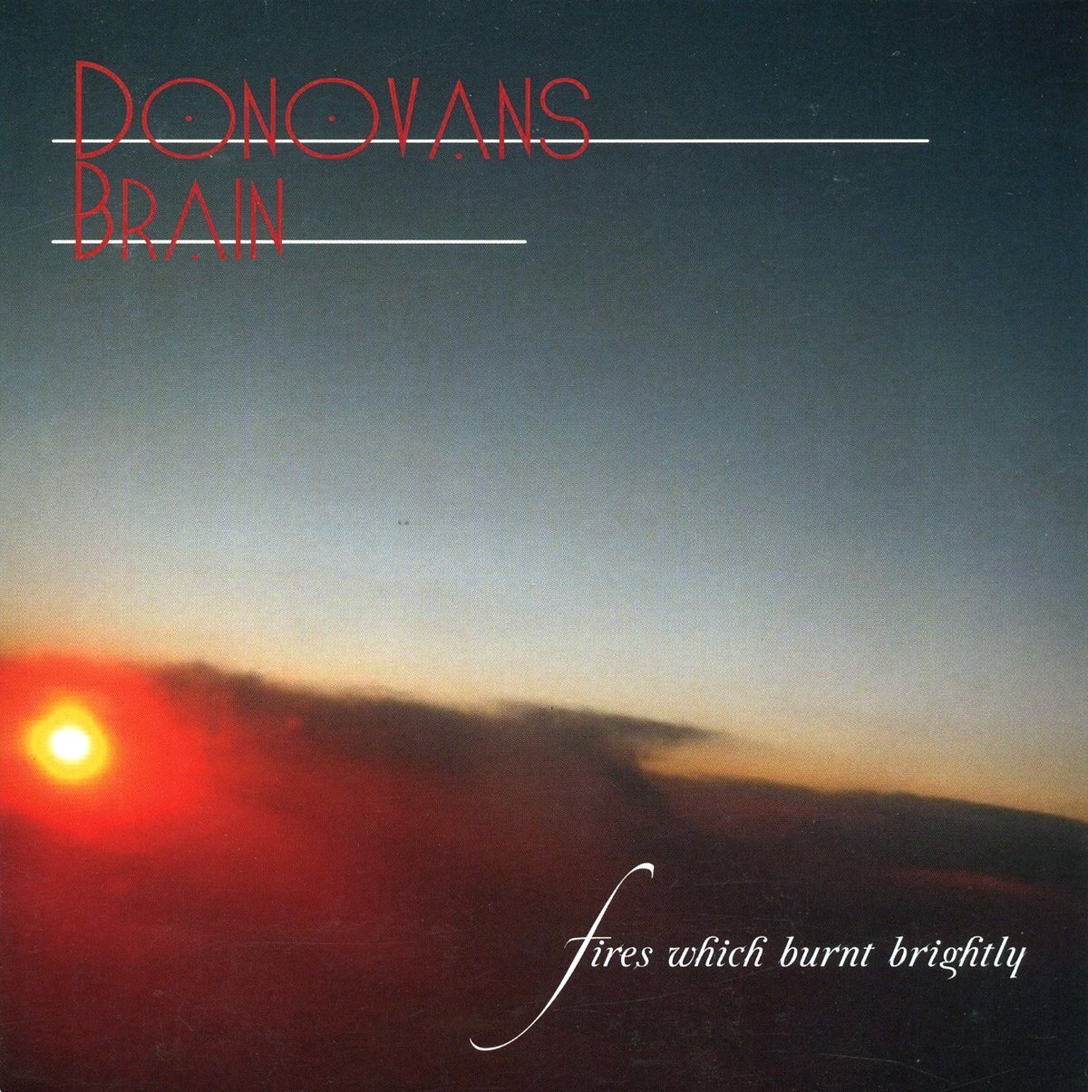 Donovan's Brain Fires Which Burnt Brightly (CD)