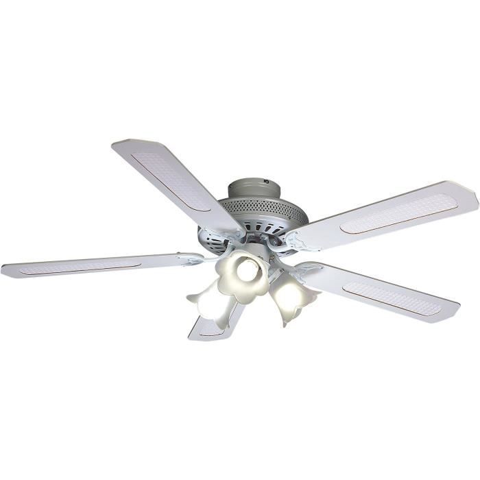 Ventilatore A Soffitto Bale ...