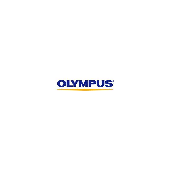 Olympus DS-9000 dittafono Flash card Nero