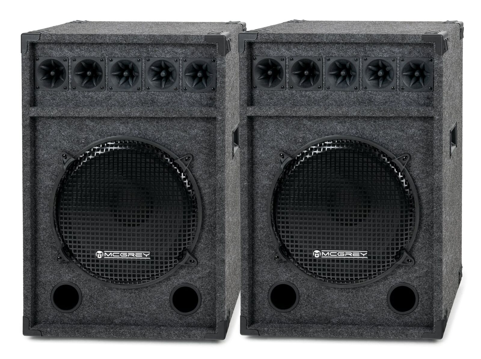 2x Altoparlanti Casse Box Subwoofer DJ PA 2 Vie 15" 38cm Disco HiFi Party 600w