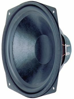 Woofer da 25 cm (10 ") 8 Ohm 110 W