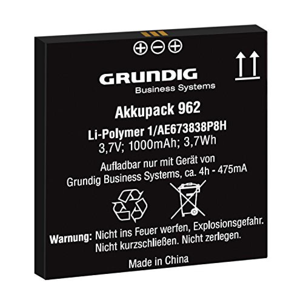 Grundig Li-Ion 1000 mAh Batteria - Accessori dittafono (Batteria, Grundig, Digta