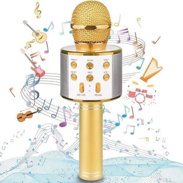 Microfono Speaker Portatile Wireless Bluetooth Karaoke Con Cassa Integrata Gioco