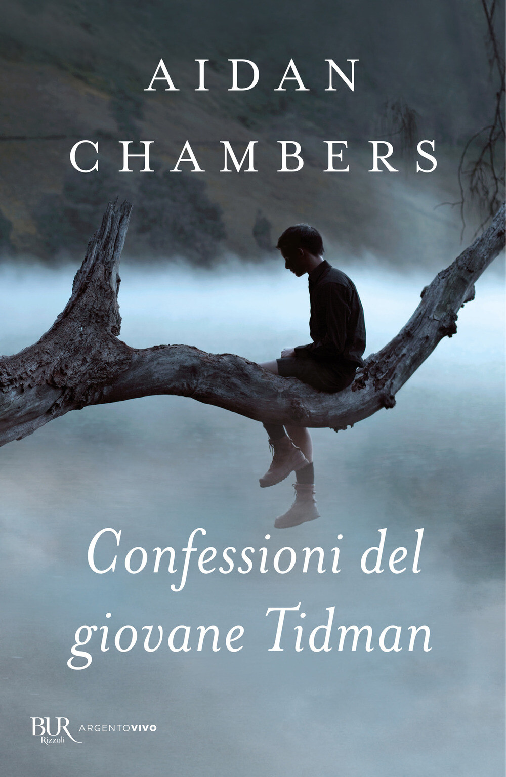 Libri Aidan Chambers - Confessioni Del Giovane Tidman
