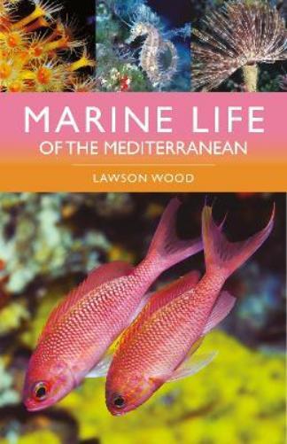 Lawson Wood Marine Life of the Mediterranean (Tascabile)