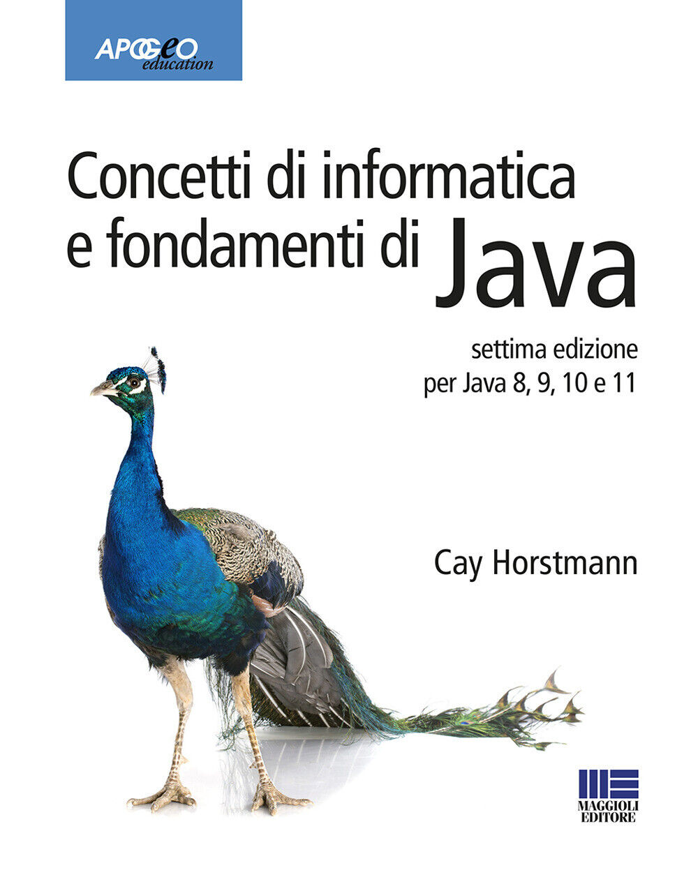Concetti di informatica e fondamenti di Java - Horstmann Cay S.