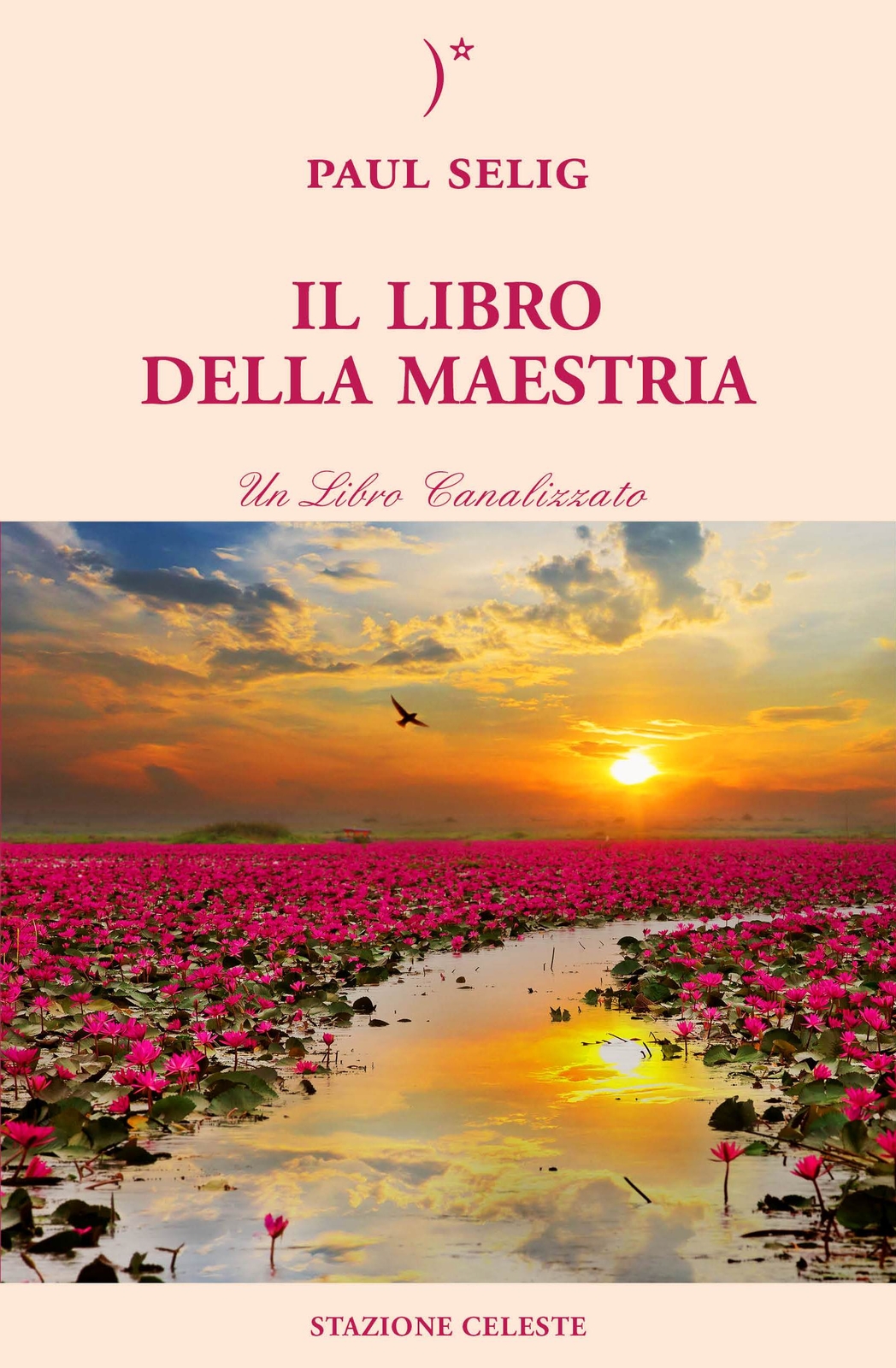 Libri Paul Selig - Il Libro Della Maestria. La Trilogia Della Maestria #01