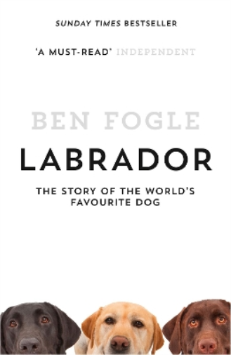 Ben Fogle Labrador (Tascabile)