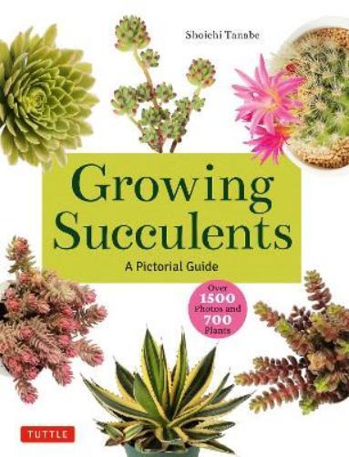Shoichi Tanabe Growing Succulents (Tascabile)