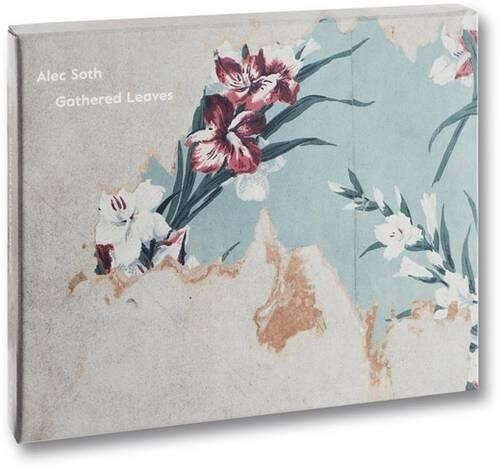 Alec Soth Gathered Leaves (Postcards)