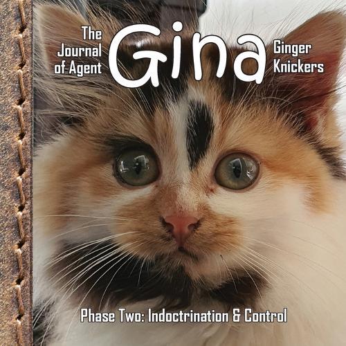 Linda Deane The Journal of Agent Gina Ginger Knickers, Phase Two (Tascabile)