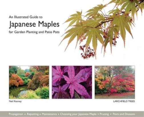 Neil Kenney An Illustrated Guide to Japanese Maples for Garden Plant (Tascabile)