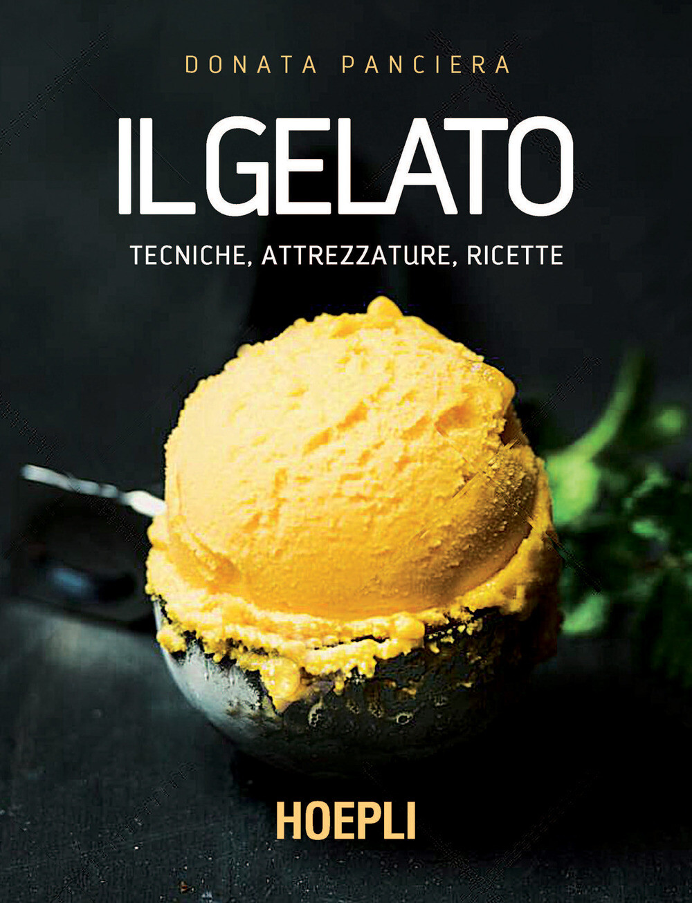 Libri Donata Panciera - Il Gelato. Tecniche, Attrezzature, Ricette