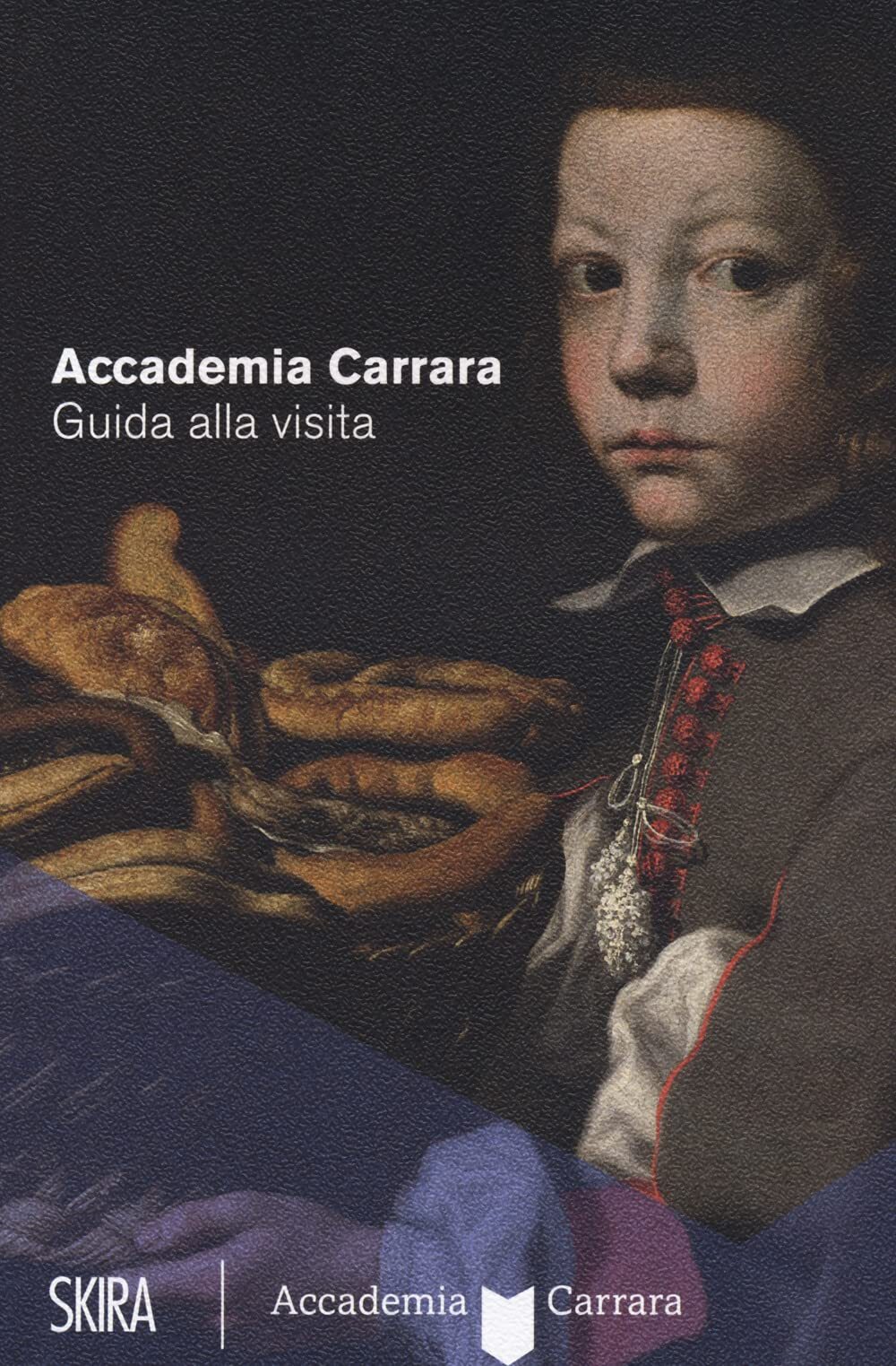 Libri Paolo Plebani - Accademia Carrara. Guida Alla Visita