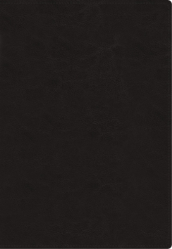 Vida Lockman Fo Nbla, Santa Biblia del Ministro, Leathers (Rilegato in ecopelle)