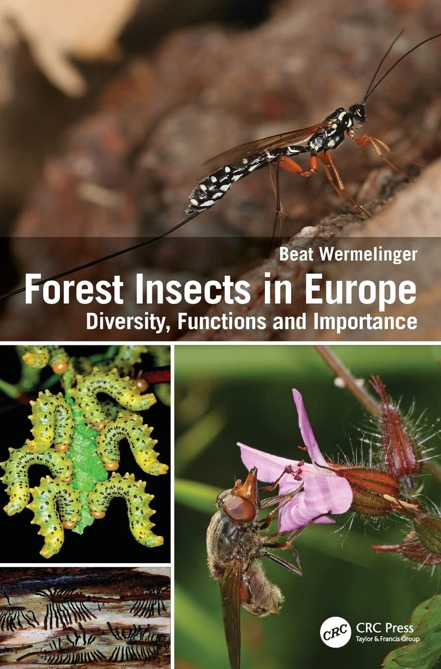9781032030319 Forest Insects in Europe: Diversity, Functions and Importance - Be