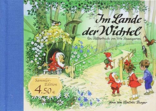 Fritz Baumgarten Im Lande der Wichtel (Copertina rigida)