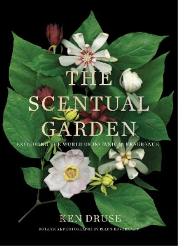 Ken Druse The Scentual Garden: Exploring the World of Botanic (Copertina rigida)