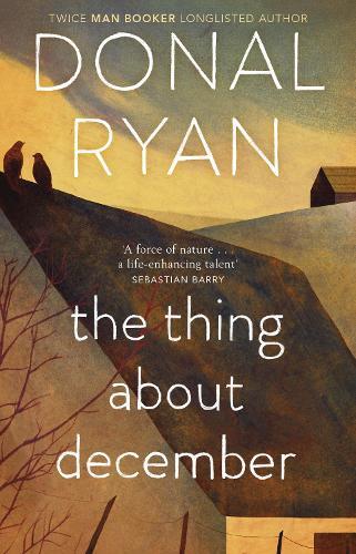Donal Ryan The Thing About December (Tascabile)