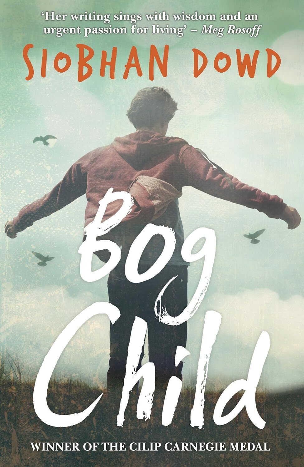 9781909531178 Bog Child - Siobhan Dowd
