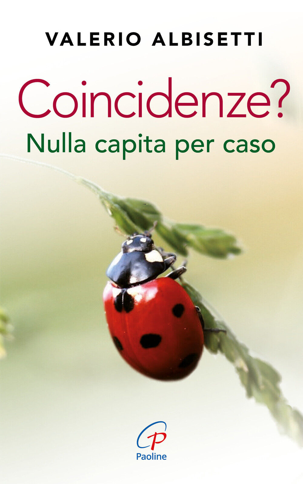 Coincidenze? Nulla capita per caso - Albisetti Valerio